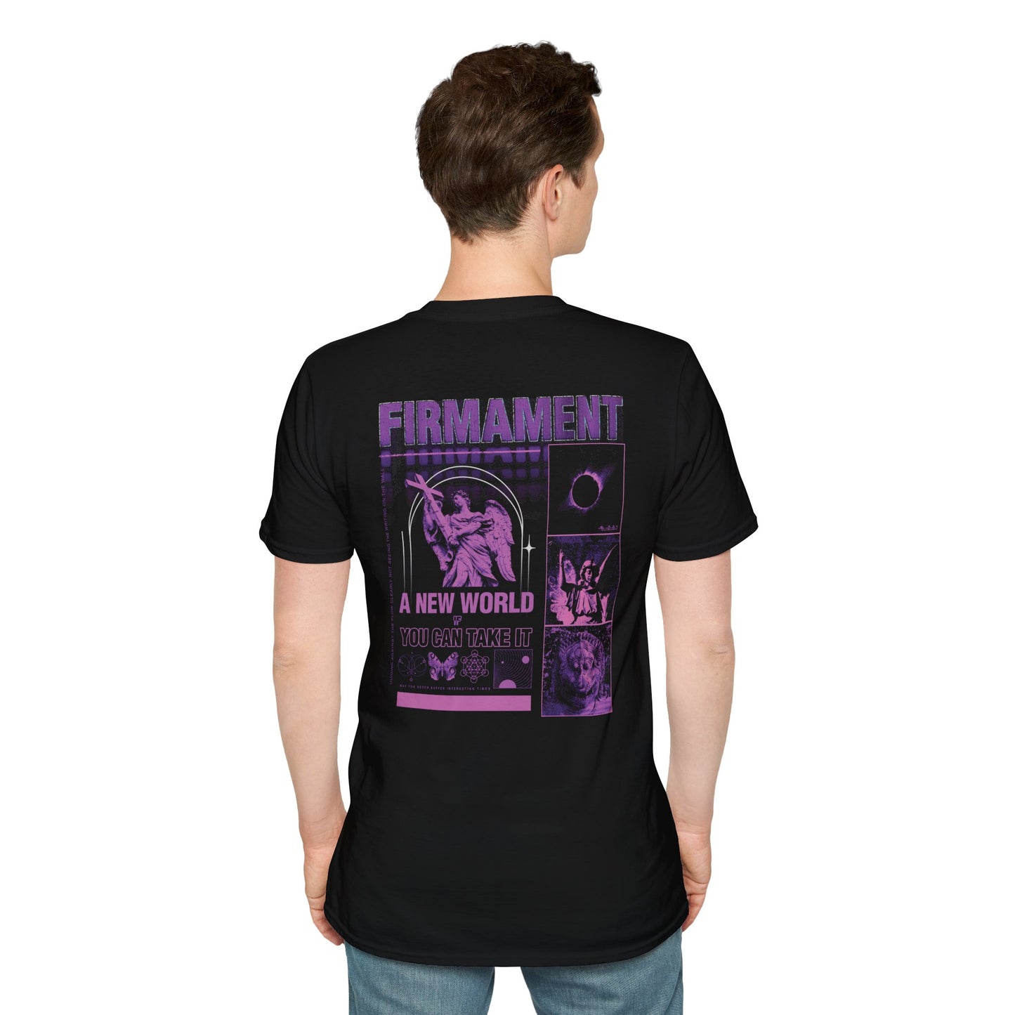 Firmament - "A New World If You Can Take It" - Angel (Rear)