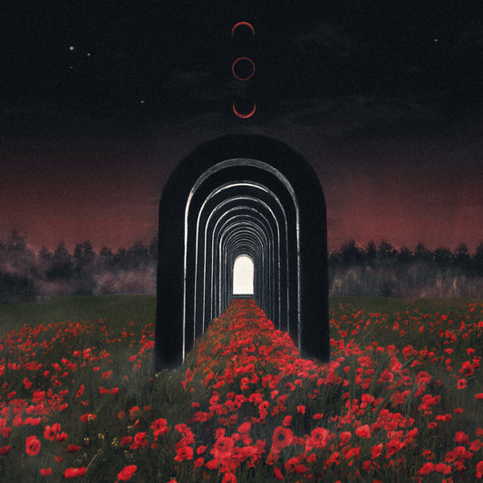 "A New World If You Can Take It" CD Digipak